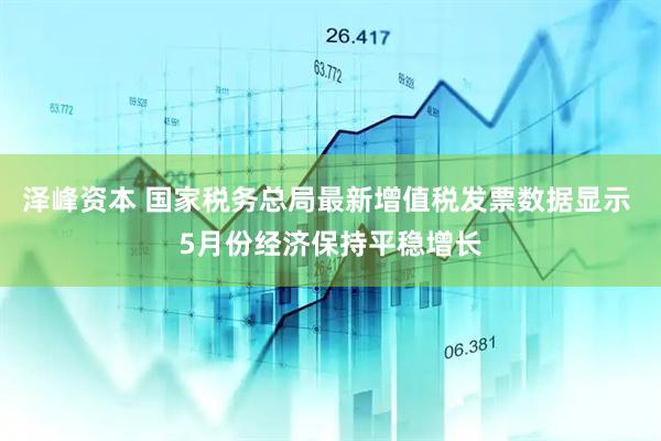 泽峰资本 国家税务总局最新增值税发票数据显示 5月份经济保持平稳增长