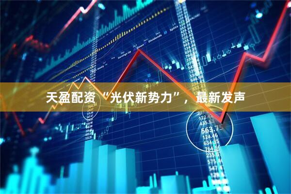 天盈配资 “光伏新势力”，最新发声